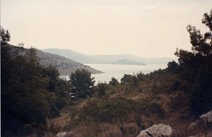 6.jpg  6